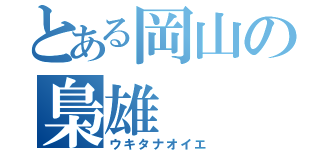 とある岡山の梟雄（ウキタナオイエ）