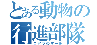 とある動物の行進部隊（コアラのマーチ）