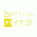 とあるペットのパイナポー（ユッキー）