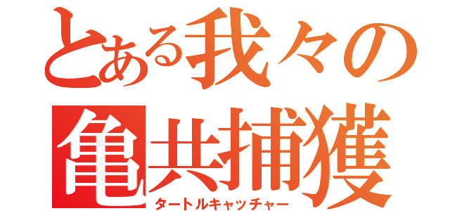 とある我々の亀共捕獲（タートルキャッチャー）