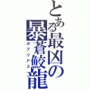 とある最凶の暴蒼鮫龍（ガブリアス）