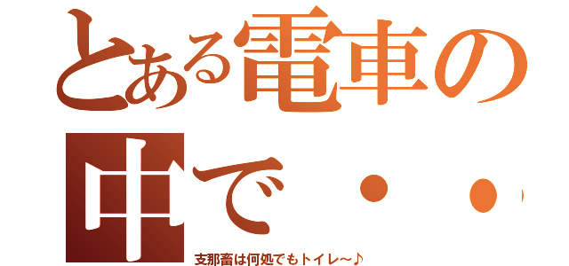 とある電車の中で・・（支那畜は何処でもトイレ～♪）