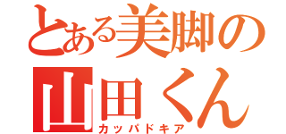 とある美脚の山田くん（カッパドキア）