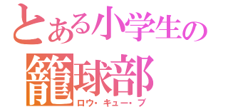 とある小学生の籠球部（ロウ・キュー・ブ）