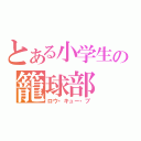 とある小学生の籠球部（ロウ・キュー・ブ）