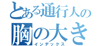 とある通行人の胸の大きさ（インデックス）