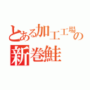 とある加工工場の新巻鮭（）