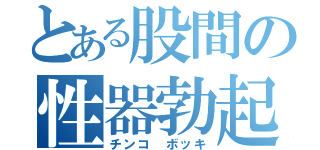 とある股間の性器勃起（チンコ ボッキ）