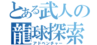 とある武人の龍球探索（アドベンチャー）