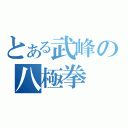 とある武峰の八極拳（）