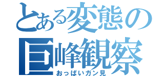 とある変態の巨峰観察（おっぱいガン見）