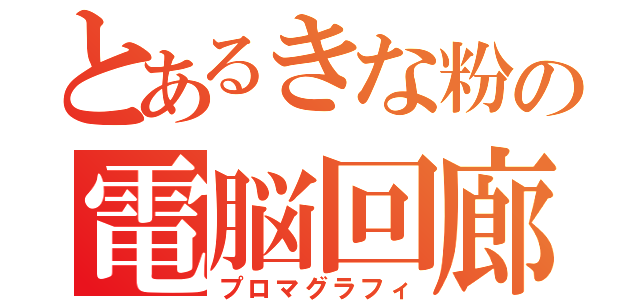 とあるきな粉の電脳回廊（プロマグラフィ）