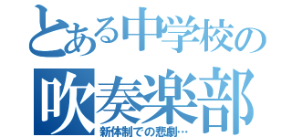 とある中学校の吹奏楽部（新体制での悲劇…）