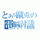 とある蹴兎の電脳討議（スカイプ）