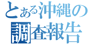 とある沖縄の調査報告（）