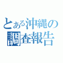 とある沖縄の調査報告（）