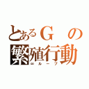 とあるＧの繁殖行動（∞ループ）