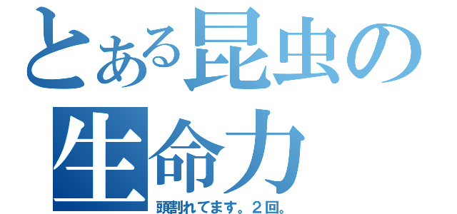 とある昆虫の生命力（頭割れてます。２回。）