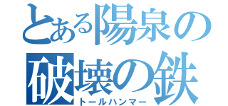 とある陽泉の破壊の鉄槌（トールハンマー）