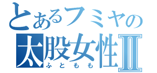 とあるフミヤの太股女性Ⅱ（ふともも）