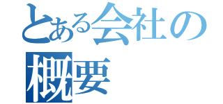 とある会社の概要（）