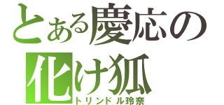 とある慶応の化け狐（トリンドル玲奈）