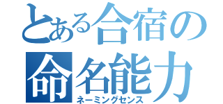 とある合宿の命名能力（ネーミングセンス）