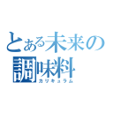 とある未来の調味料（カリキュラム）