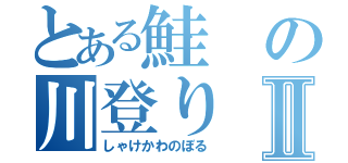 とある鮭の川登りⅡ（しゃけかわのぼる）