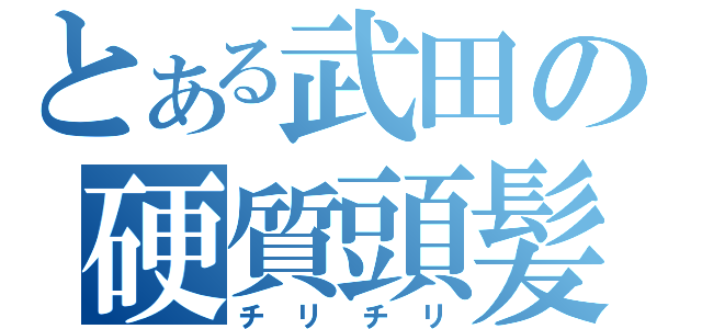 とある武田の硬質頭髪（チリチリ）