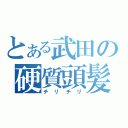 とある武田の硬質頭髪（チリチリ）