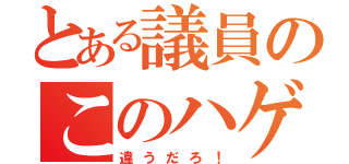 とある議員のこのハゲェ〜！（違うだろ！）