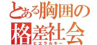 とある胸囲の格差社会（ヒエラルキー）