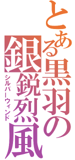 とある黒羽の銀鋭烈風（シルバーウィンド）