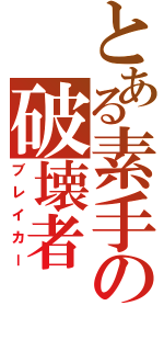 とある素手の破壊者（ブレイカー）