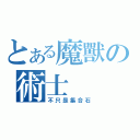 とある魔獸の術士（不只是集合石）