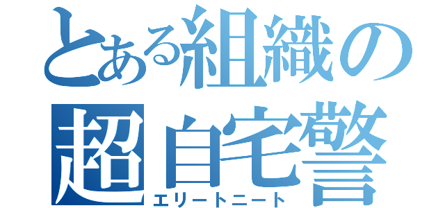 とある組織の超自宅警備（エリートニート）