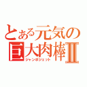 とある元気の巨大肉棒Ⅱ（ジャンボジェット）