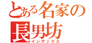 とある名家の長男坊（インデックス）