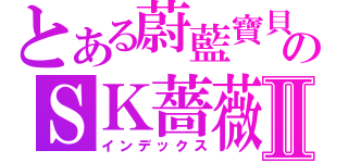 とある蔚藍寶貝のＳＫ薔薇Ⅱ（インデックス）