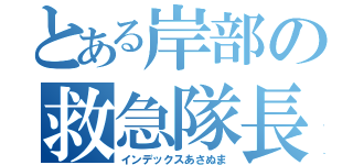 とある岸部の救急隊長（インデックスあさぬま）