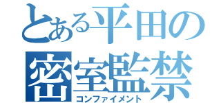 とある平田の密室監禁（コンファイメント）