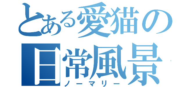 とある愛猫の日常風景（ノーマリー）