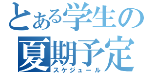 とある学生の夏期予定（スケジュール）