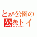 とある公園の公衆トイレ（ありえない汚さ）