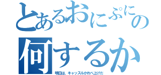 とあるおにぷにの何するか。（明日は、キャッスルかれべ上げだ）