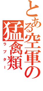 とある空軍の猛禽類（ラプター）