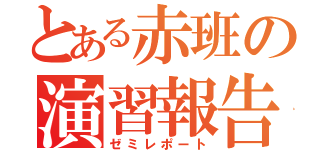 とある赤班の演習報告（ゼミレポート）