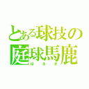 とある球技の庭球馬鹿（はるき）