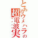 とあるウメハラの超電波実況（ウメハラ）